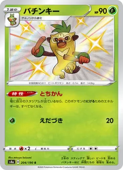 Card — 204