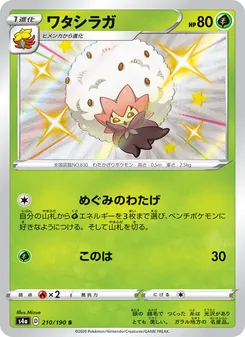 Card — 210