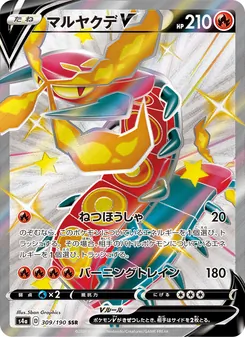 Card — 309