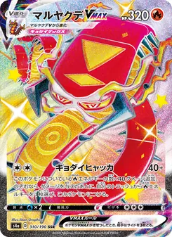 Card — 310