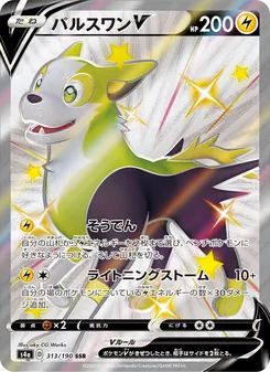 Card — 313