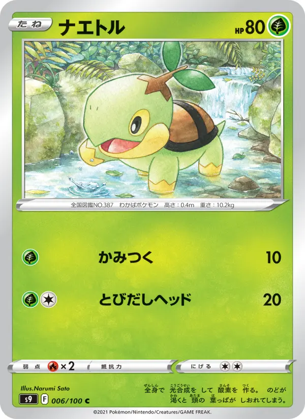 ナエトル card image
