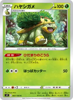 ハヤシガメ 007 Pokemon TCG Card