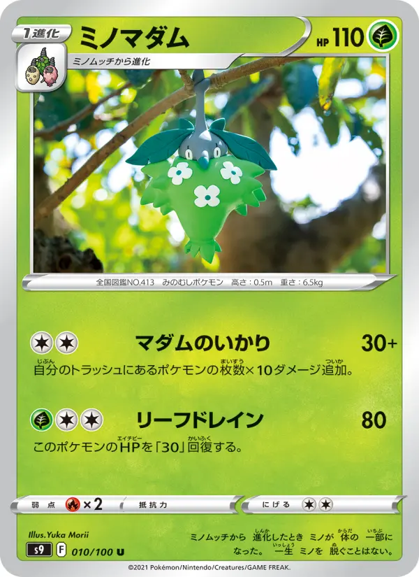 ミノマダム card image