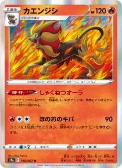 カエンジシ 016 Pokemon TCG Card