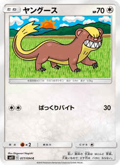 ヤングース