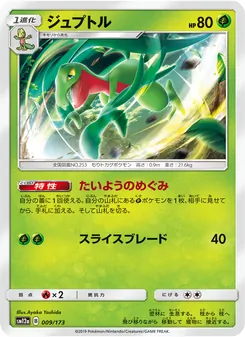 Grovyle (JAP)
