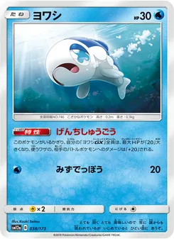 Wishiwashi (JAP)