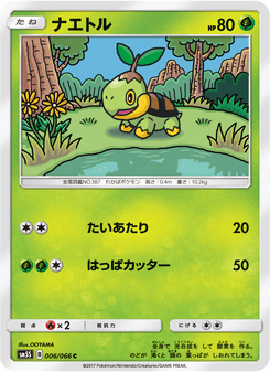 ナエトル