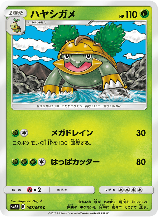 Carta Pokémon ハヤシガメ 007