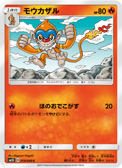 モウカザル