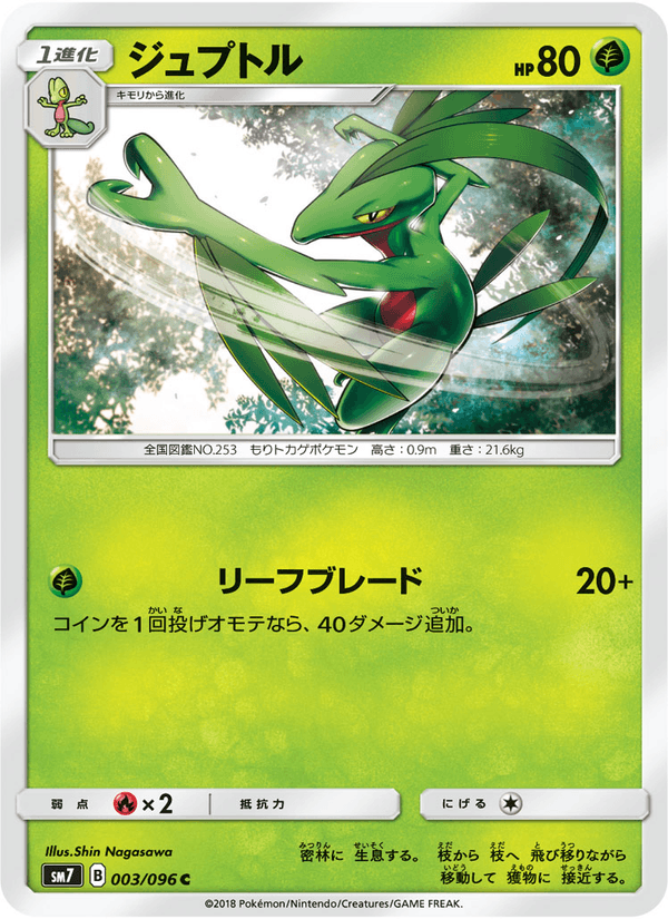 Carta Pokémon ジュプトル 003