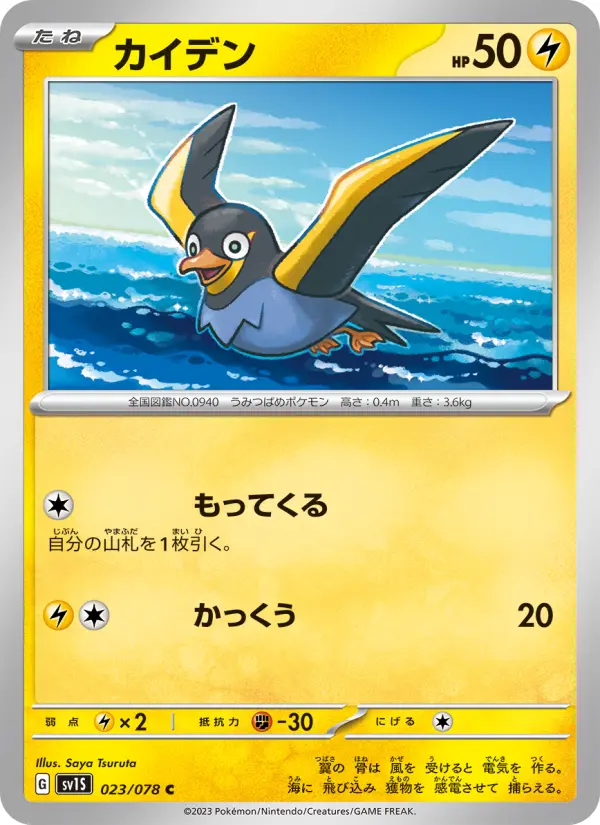 カイデン card image
