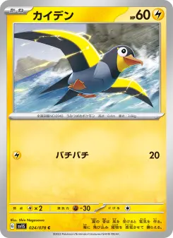 カイデン 024 Pokemon TCG Card