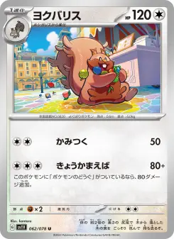 ヨクバリス 062 Pokemon TCG Card