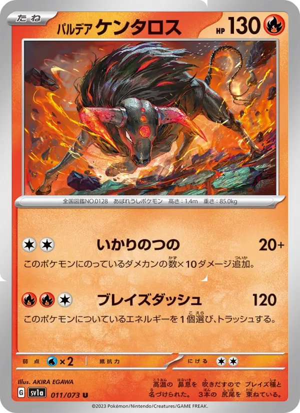 パルデア ケンタロス card image