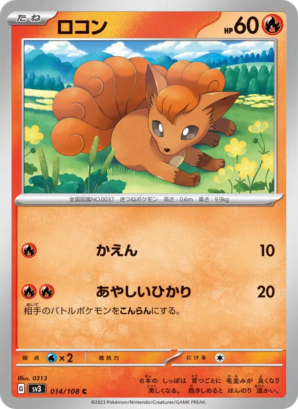 ロコン card image
