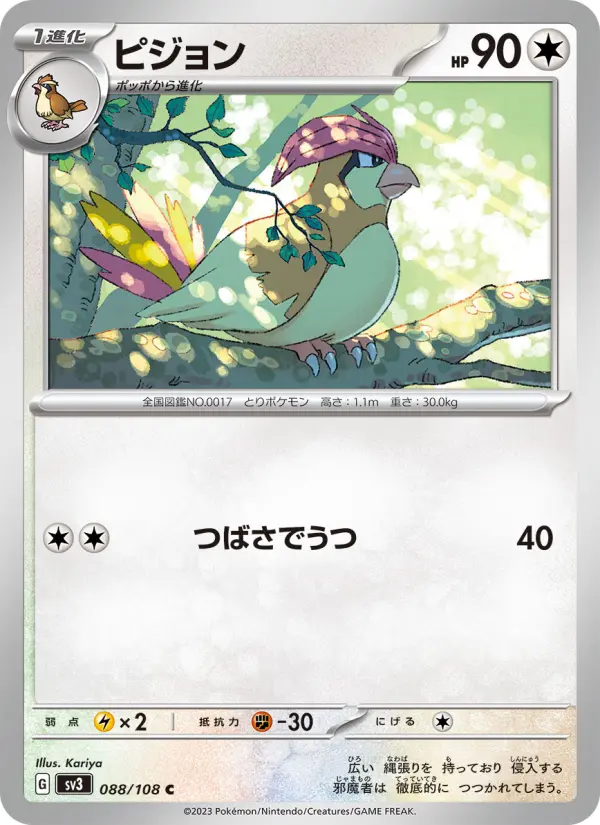 ピジョン card image