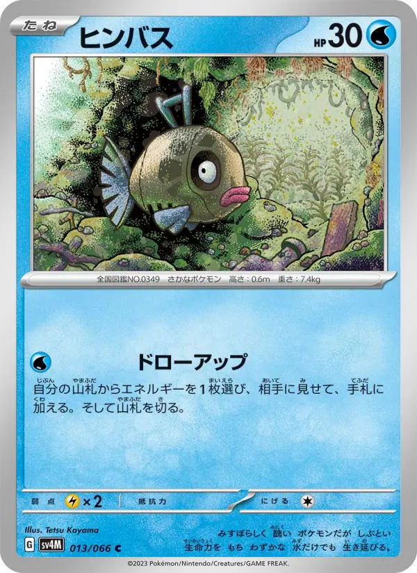 ヒンバス card image