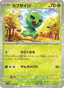 カプサイジ 020 Pokemon TCG Card