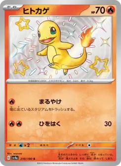 ヒトカゲ 210 Pokemon TCG Card