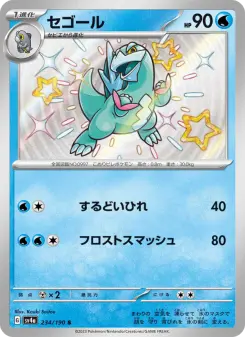 セゴール 234 Pokemon TCG Card