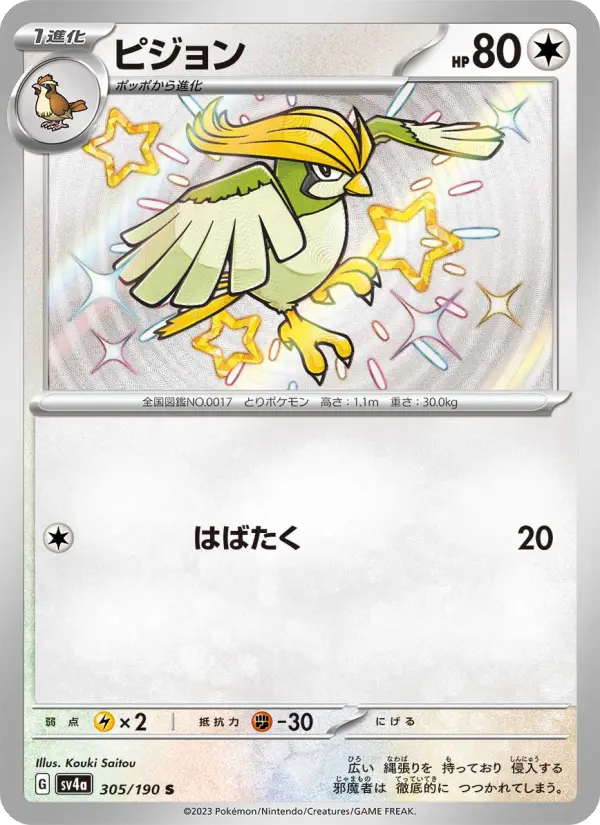 ピジョン card image