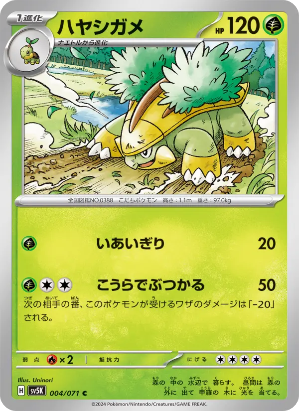 ハヤシガメ card image