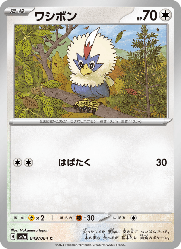 ワシボン (SV7A 049)