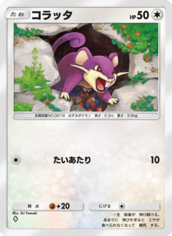 Rattata