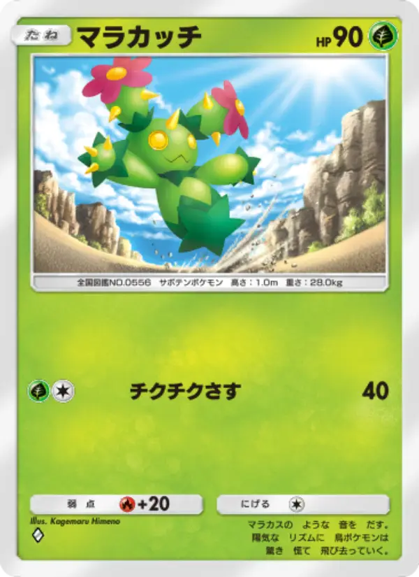 Maractus