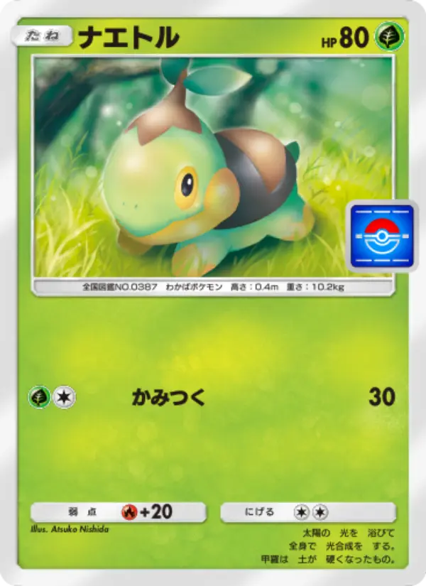 Turtwig