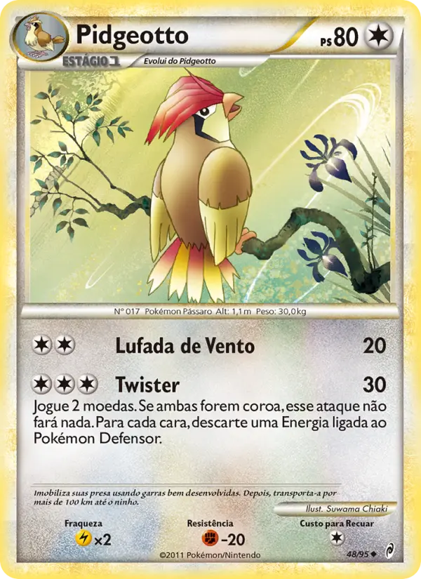 Pidgeotto (Portuguese)