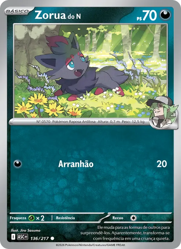 Zorua do N