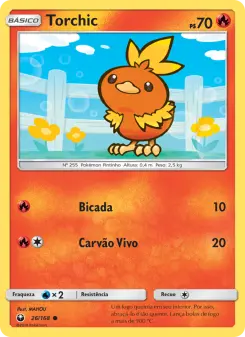 Torchic