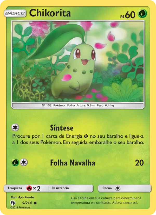 Chikorita