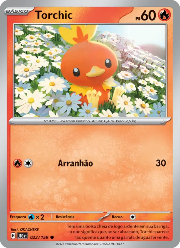 Torchic