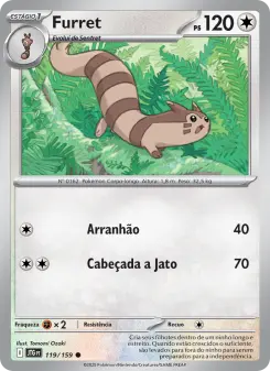 Furret