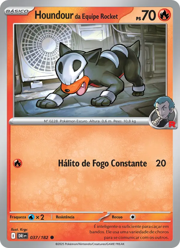 Houndour da Equipe Rocket