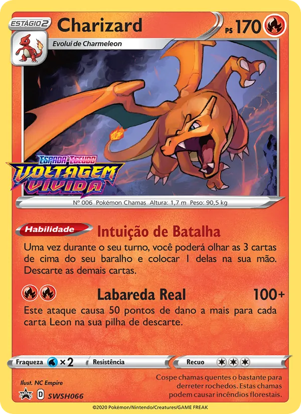 Charizard SWSH066/307 ESES Promos