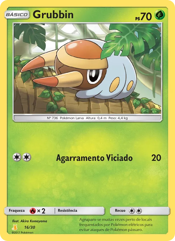 Grubbin, SM trainer Kit (Alolan Raichu) 16
