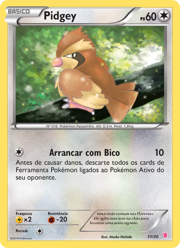 Pidgey, XY trainer Kit (Wigglytuff) 11
