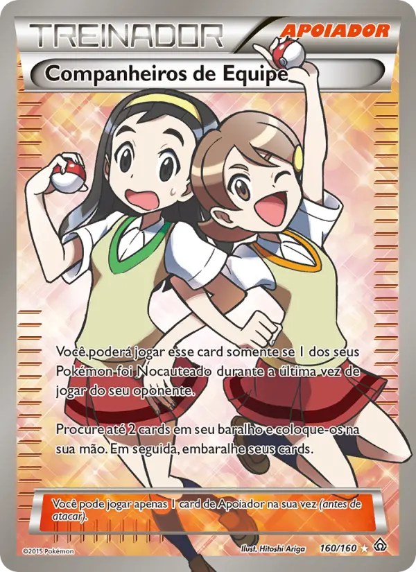 Companheiros de Equipe