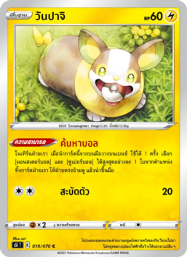 วันปาจิ card image