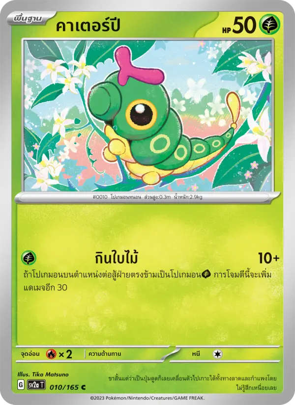 คาเตอร์ปี card image