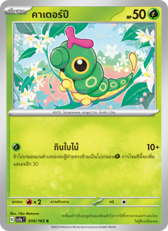คาเตอร์ปี