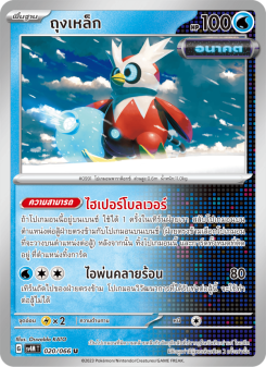 ถุงเหล็ก