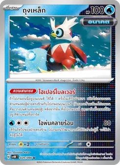 ถุงเหล็ก