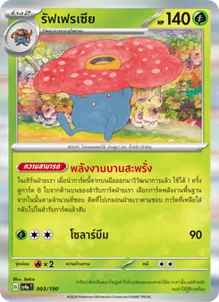 รัฟเฟรเซีย
