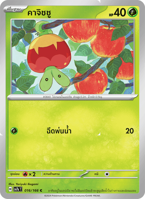 คาจิชชู